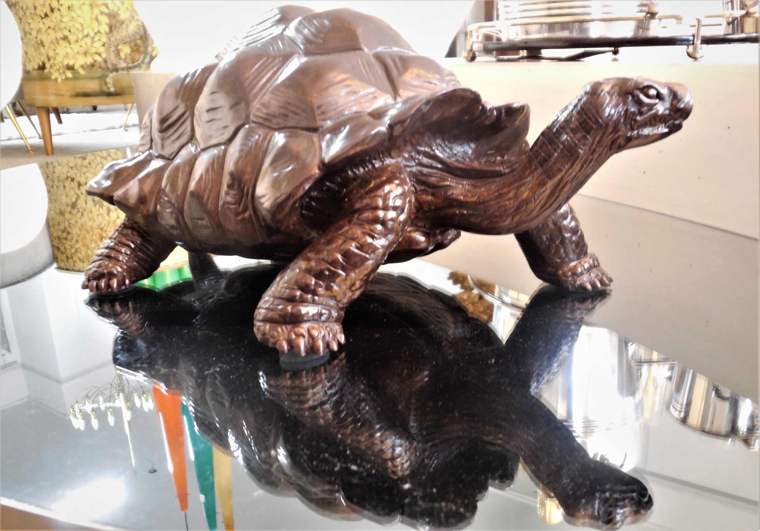 The Great Tortoise of Aldabra.jpg