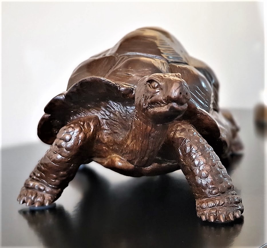 the giant tortoise of aldabra 9.jpg