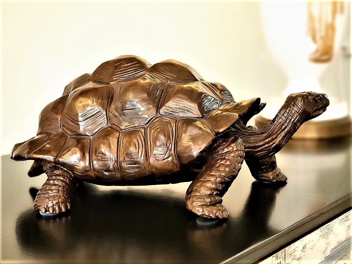 the giant tortoise of aldabra 10.jpg