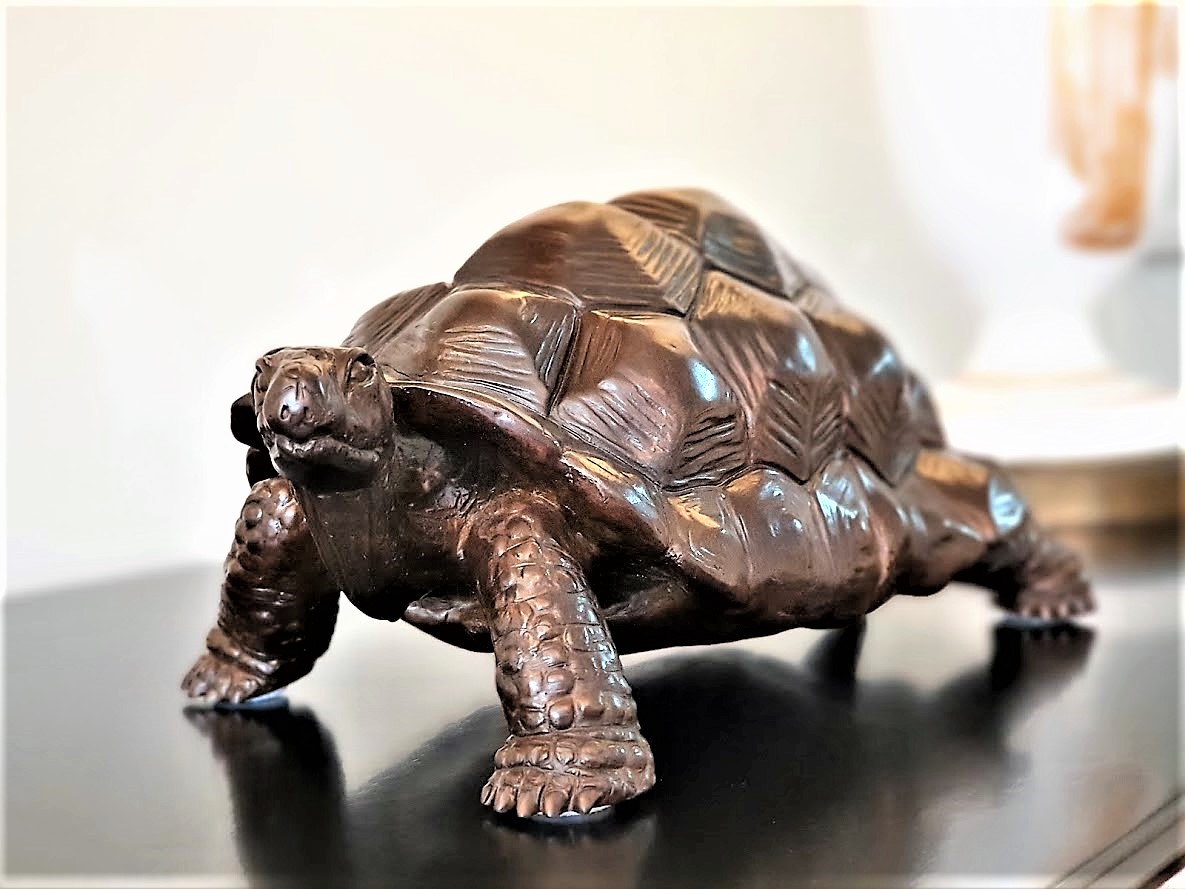 the giant tortoise of aldabra 7 .jpg