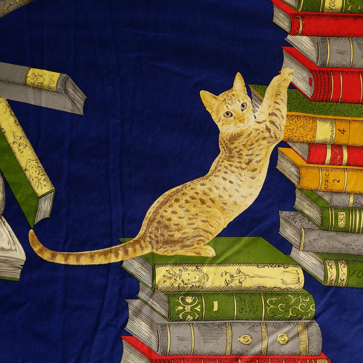 plaid-cats-on-books-by-piero-fornasetti-
