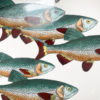 Set of 6 Italian Decorative Fish Plates by Piero Fornasetti - Image 5