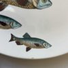 Set of 6 Italian Decorative Fish Plates by Piero Fornasetti - Image 6