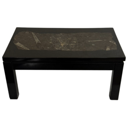 Mid-Century Modern Rectangular Coffee Table by Etienne Allemeersch, Fossilized Stone Top, 1970s