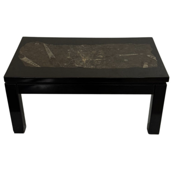 Mid-Century Modern Rectangular Coffee Table by Etienne Allemeersch, Fossilized Stone Top, 1970s