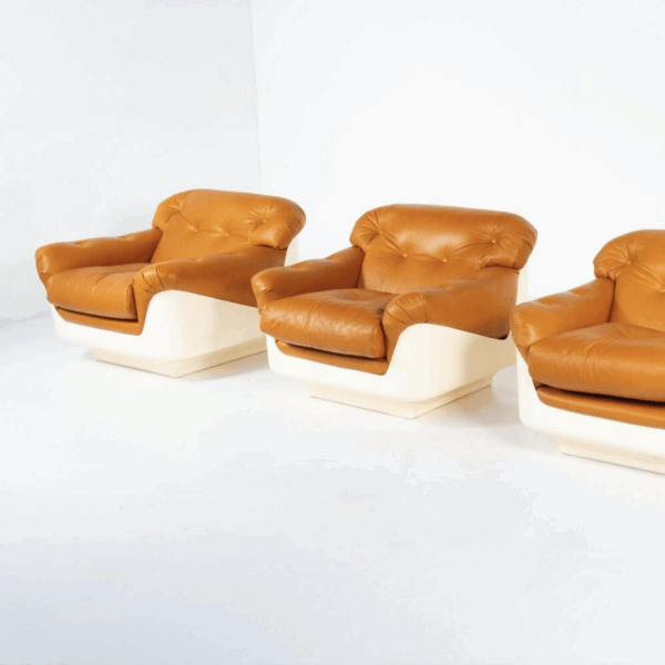 Pair of Armchairs by Jorge Zalszupin, Fiberglass and Leather, 2 pairs available - Image 13