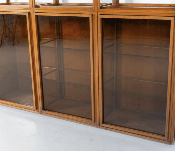 Mid-Century Modern Shelves, Wood and Glass - Image 10