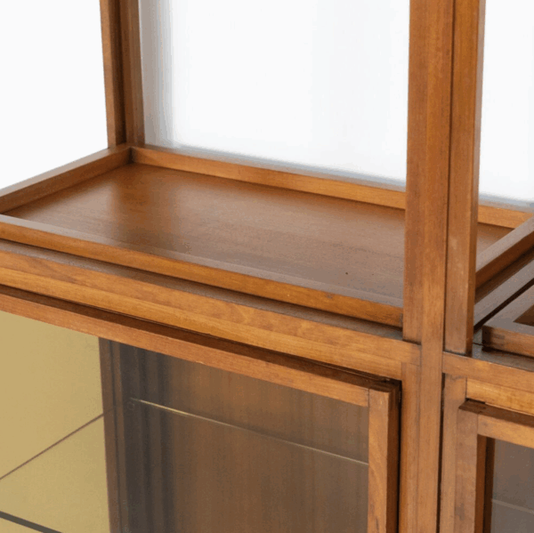 Mid-Century Modern Shelves, Wood and Glass - Image 10