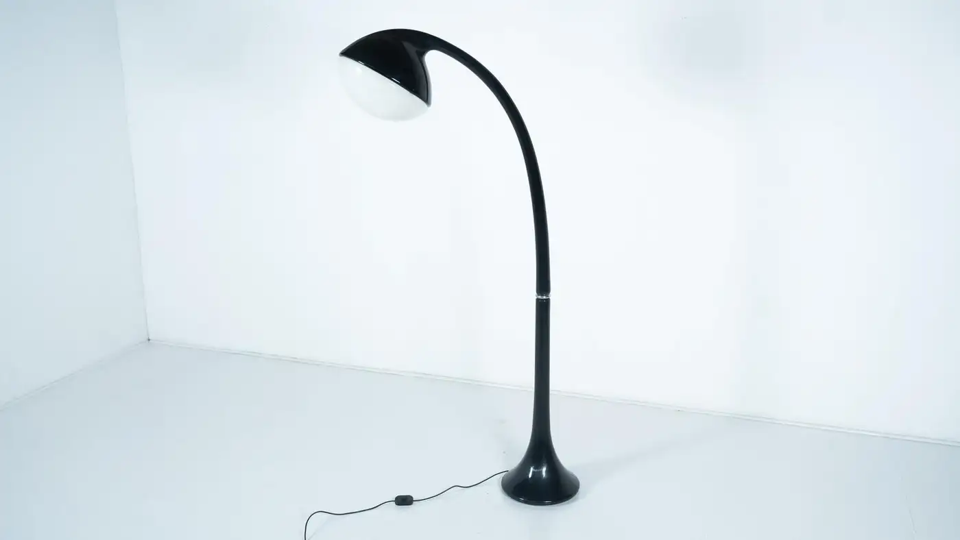 Lampione Floor Lamp by Fabio Lenci for Guzzini, 1970s - Image 2