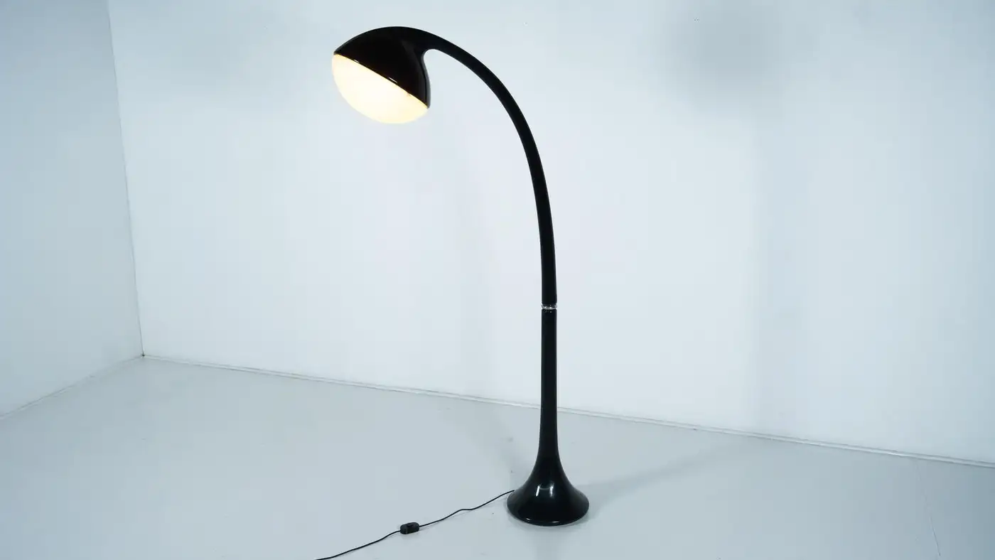 Lampione Floor Lamp by Fabio Lenci for Guzzini, 1970s - Image 5