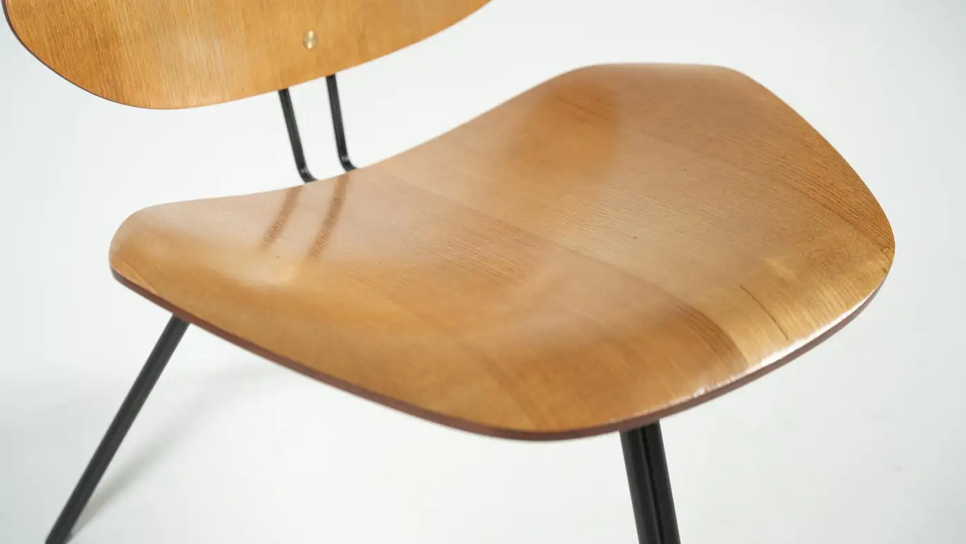 Mid-Century Modern P31 Chairs by Osvaldo Borsani, Tecno, 1950s - Image 5