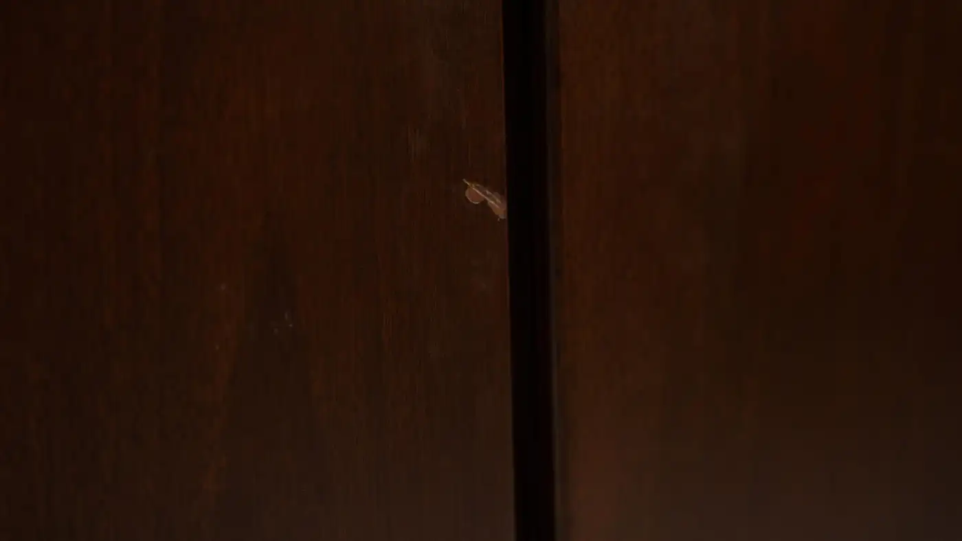 Mid-Century Modern Sideboard by Hans von Klier for Skipper, Italy, 1970s - Image 8