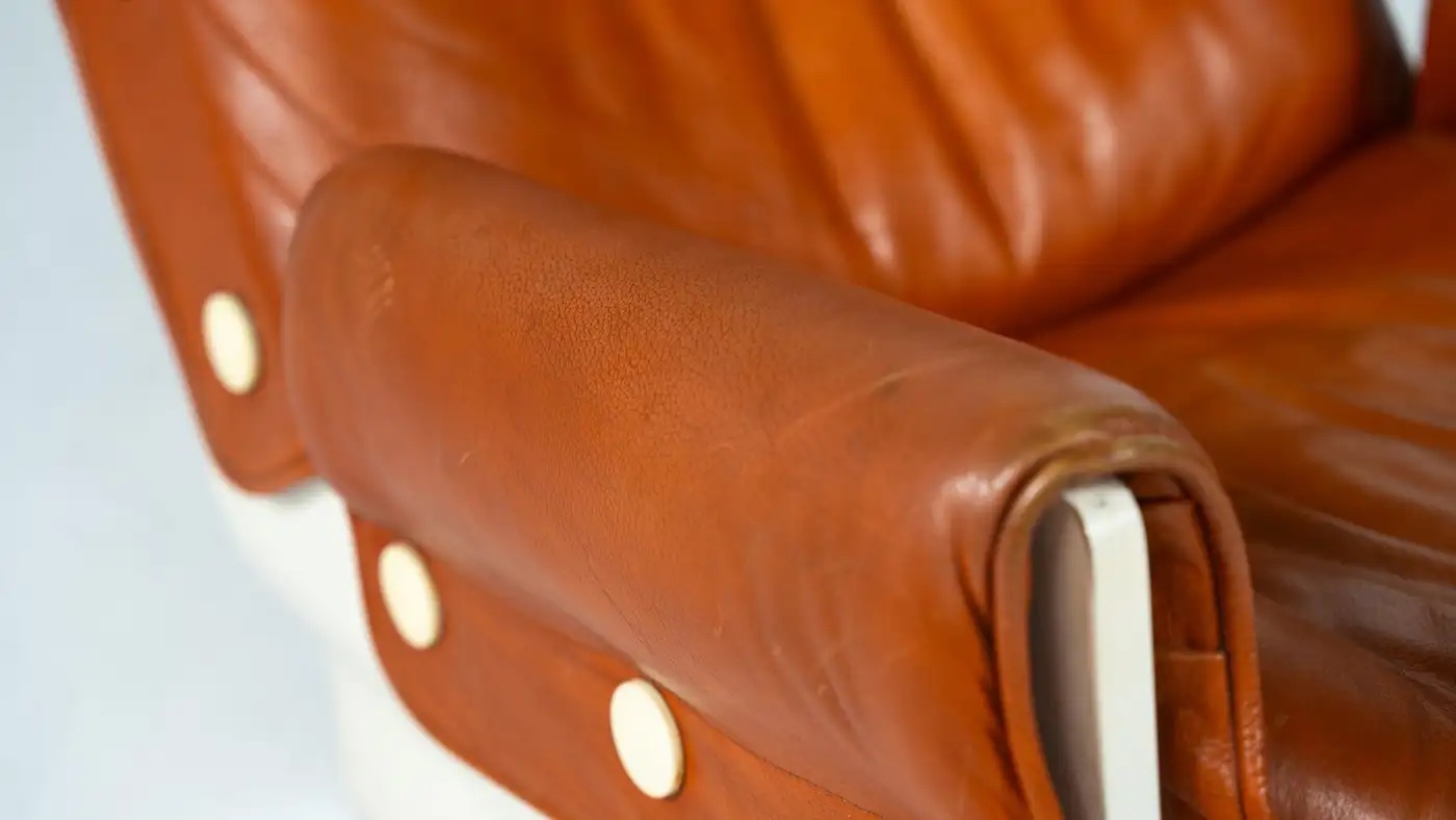 Canada P110 Armchair by Osvaldo Borsani for Tecno, 1960s - Image 2