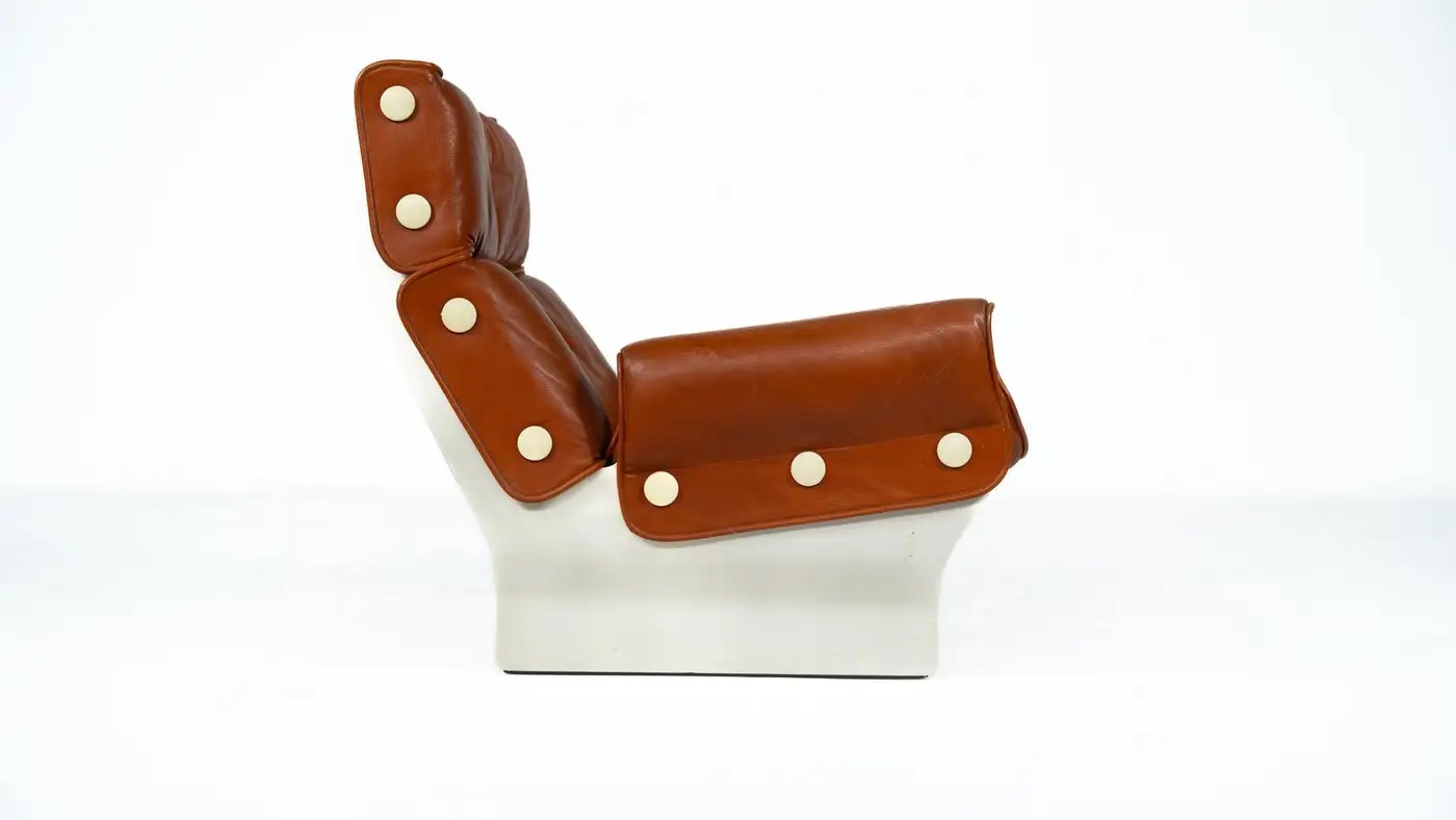 Canada P110 Armchair by Osvaldo Borsani for Tecno, 1960s - Image 3