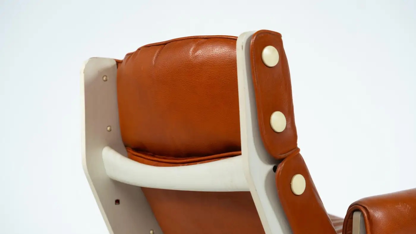 Canada P110 Armchair by Osvaldo Borsani for Tecno, 1960s - Image 4