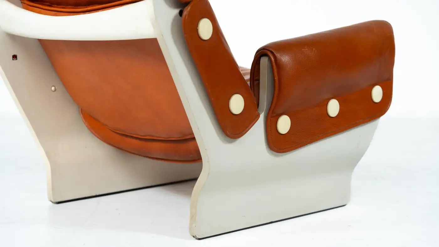 Canada P110 Armchair by Osvaldo Borsani for Tecno, 1960s - Image 5