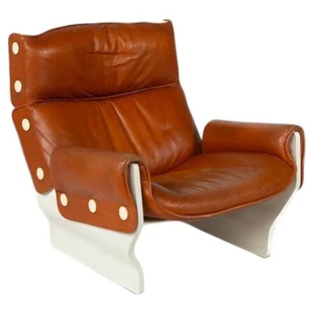Canada P110 Armchair by Osvaldo Borsani for Tecno, 1960s