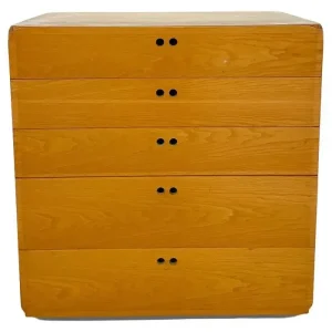 Mid Century Modern Chest of Drawers by Derk Jan de Vries