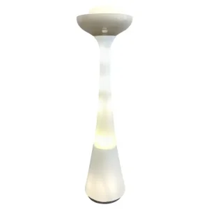 Mid Century Modern Floor Lamp by Carlo Nason for Selenova