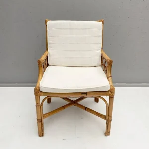 Pair of Rattan and Cane Dining Chairs