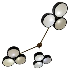 Contemporary Ceiling Light