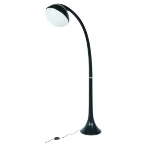 Lampione Floor Lamp by Fabio Lenci for Guzzini, 1970s