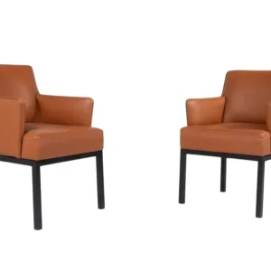 Mid-Century Pair of Armchairs Mod 56 by Jules Wabbes for Mobilier Universel, 1960s
